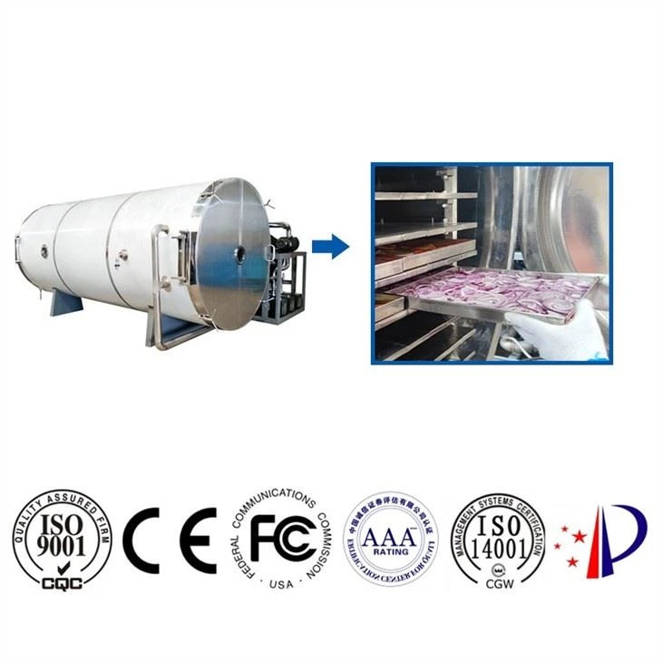Meet Freeze Dryer