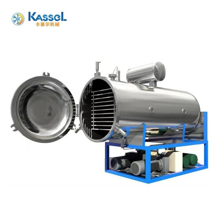 China Vacuum Freeze Dryer suppliers